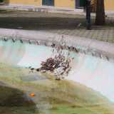 �Una fontana senz�acqua, diventata ricettacolo di rifiuti�...